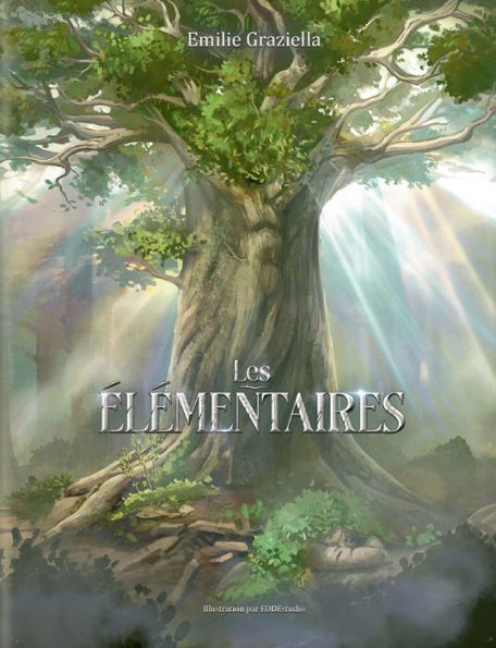 Les ï¿½lï¿½mentaires