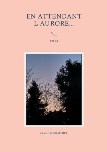 En attendant l'Aurore...: Poï¿½sie