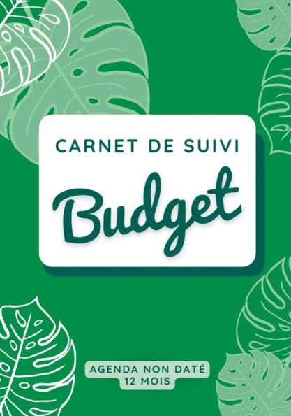 Carnet de suivi budget: Gestion budgï¿½taire, suivi de budget, carnet de compte ï¿½ remplir