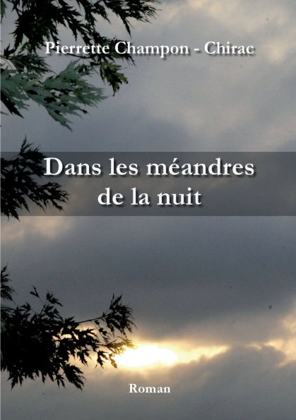 Dans les mï¿½andres de la nuit