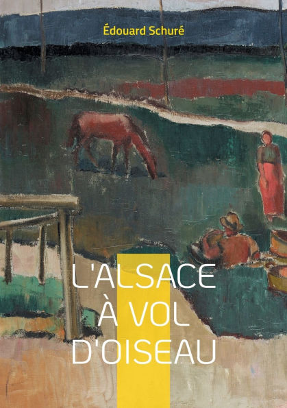 L'Alsace ï¿½ vol d'oiseau: Voyage fascinant au coeur de l'identitï¿½ alsacienne - histoire, traditions et paysages d'une rï¿½gion unique