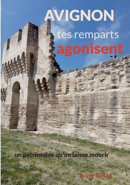 Avignon, tes remparts agonisent: Un patrimoine mondial qu'on laisse mourir