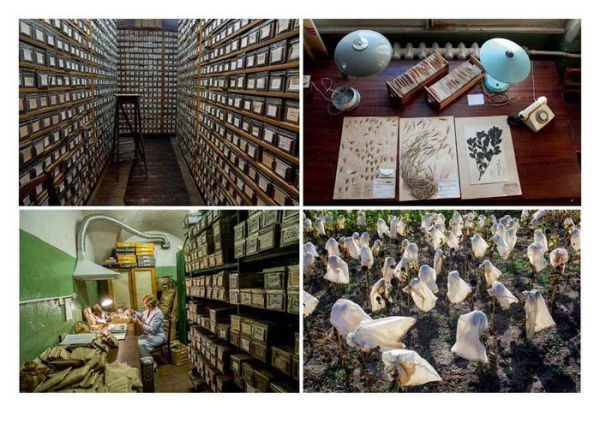 Mario Del Curto: Seeds of the Earth: The Vavilov Institute