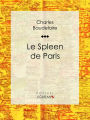 Le Spleen de Paris