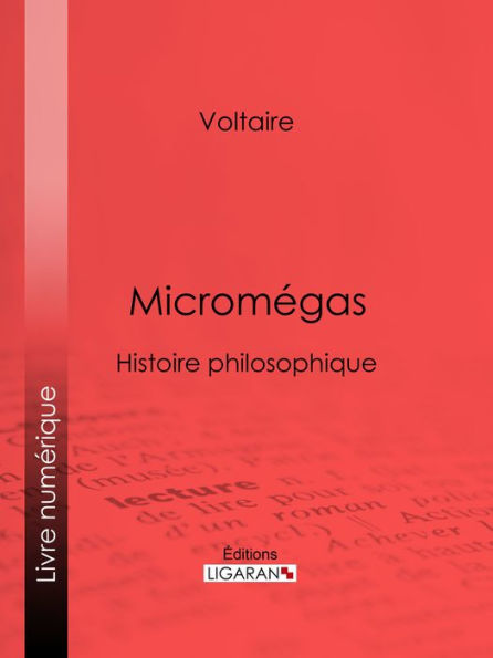 Micromégas: Histoire philosophique