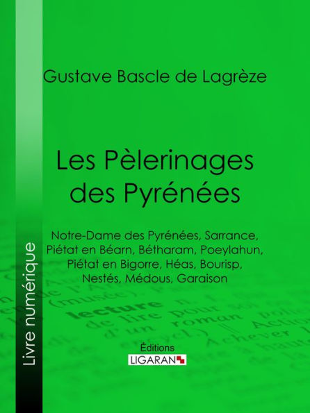 Les Pèlerinages des Pyrénées: Notre-Dame des Pyrénées, Sarrance, Piétat en Béarn, Bétharam, Poeylahun, Piétat en Bigorre, Héas, Bourisp, Nestés, Médous, Garaison