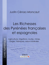 Title: Les Richesses des Pyrénées françaises et espagnoles: Ce qu'elles furent, ce qu'elles sont, ce qu'elles peuvent être - Agriculture, irrigations, routes, mines, forges, fabriques, eaux minérales, Author: Justin Cénac-Moncaut