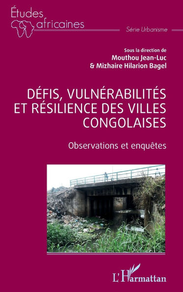 DÃ¯Â¿Â½fis, vulnÃ¯Â¿Â½rabilitÃ¯Â¿Â½s et rÃ¯Â¿Â½silience des villes congolaises: Observations et enquÃ¯Â¿Â½tes