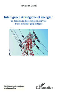 Title: Intelligence stratégique et énergie : un tandem indissociable au service d'une nouvelle géopolitique, Author: Viviane Du Castel