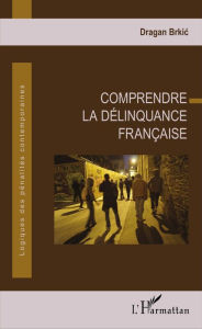 Title: Comprendre la délinquance française, Author: Dragan Brkic