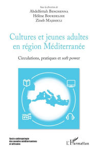 Title: Cultures et jeunes adultes en région Méditerranée: Circulations, pratiques et <em>soft power</em>, Author: Editions L'Harmattan