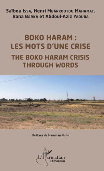 Boko Haram : les mots d'une crise: The Boko Haram crisis through Words