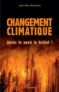 Title: Changement climatique: Après le pavé le brûlot !, Author: Jean-Marc Bonnamy