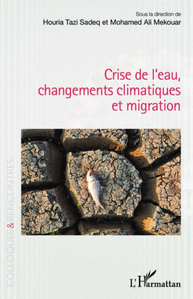 Crise de l'eau, changements climatiques et migration