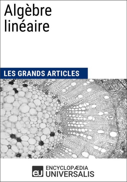 Algèbre linéaire: Les Grands Articles d'Universalis