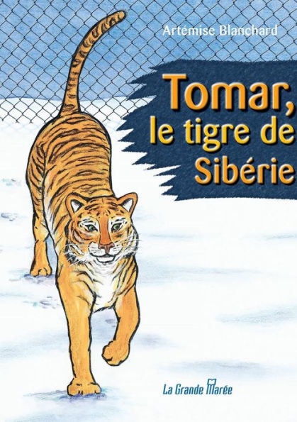 Tomar, le tigre de Sibérie