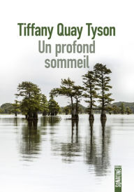 Title: Un profond sommeil, Author: Tiffany Quay Tyson