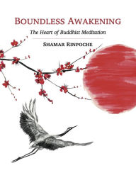 Title: Boundless Awakening: The Heart of Buddhist Meditation, Author: Shamar Rinpoche