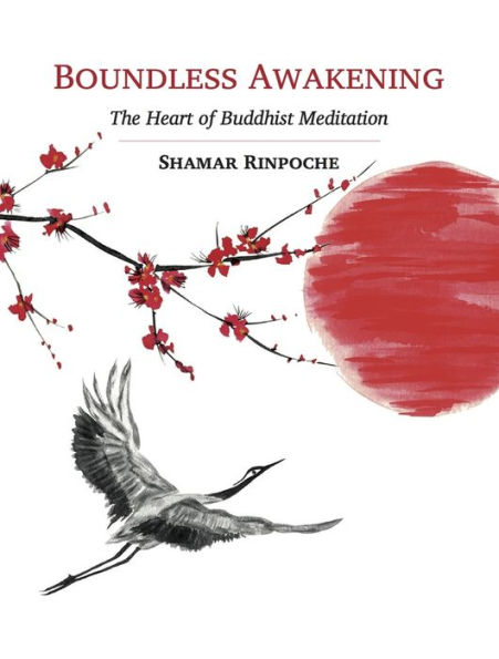 Boundless Awakening: The Heart of Buddhist Meditation