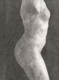 Title: Rodin: Photographs by Emmanuel Berry, Author: 