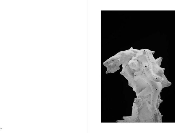 Rodin: Photographs by Emmanuel Berry