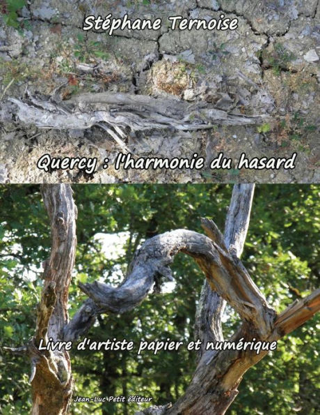 Quercy: l'harmonie du hasard: Livre d'artiste papier et numérique