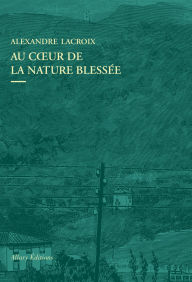 Title: Au coeur de la nature blessée - Apprendre à voir les paysages du XXIe siècle, Author: Alexandre Lacroix