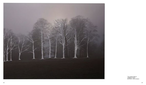 Adrian Burns: Imbroglio