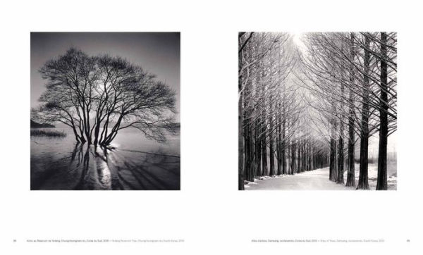 Michael Kenna: Trees