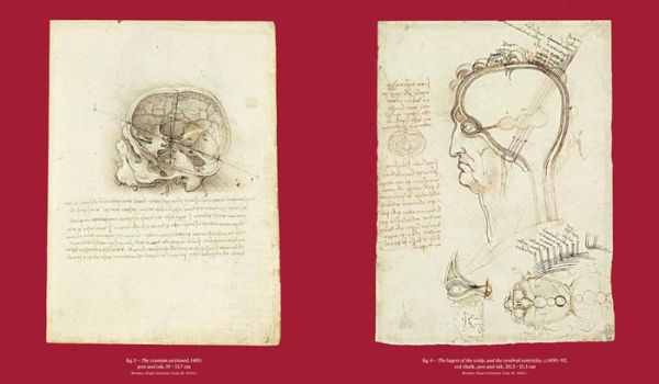 Leonardo da Vinci and Anatomy: The Mechanics of Life