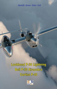 Title: P-38 - p-39 - P-40, Author: Mantelli - Brown - Kittel - Graf