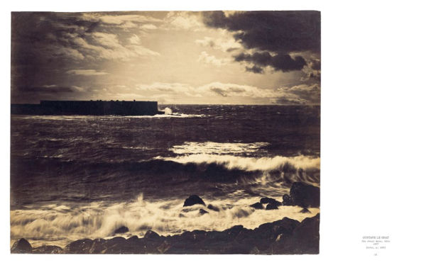 Pinault Collection: 100 Photographic Masterpieces