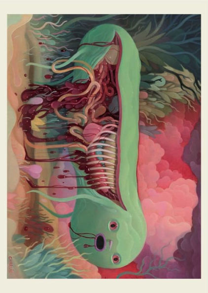 Anatomy Rocks: 30 Deluxe Postcards