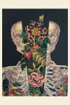 Alternative view 3 of Anatomy Rocks: 30 Deluxe Postcards