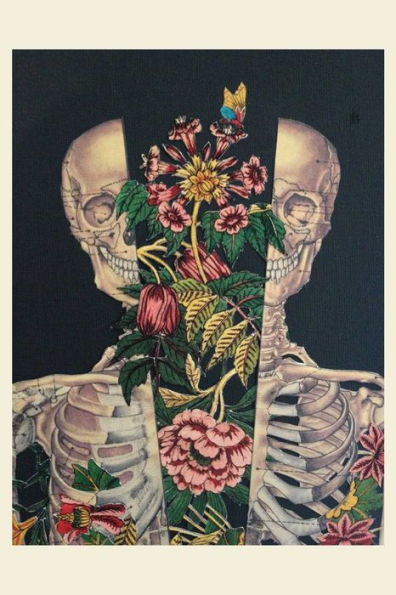 Anatomy Rocks: 30 Deluxe Postcards