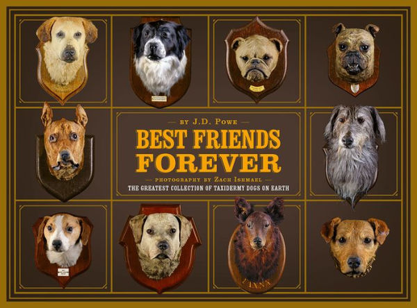 Best Friends Forever: The Greatest Collection of Taxidermy Dogs on Earth