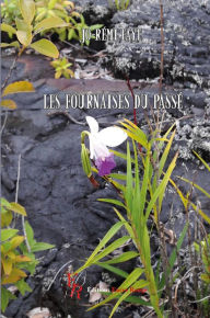 Title: Les fournaises du passé, Author: Jo-Rémi Faye
