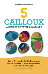 Title: 5 cailloux à retirer de votre chaussure, Author: Jean-François Marmion