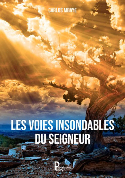 Les voies insondables du Seigneur by Carlos Mbaye | eBook | Barnes & Noble®