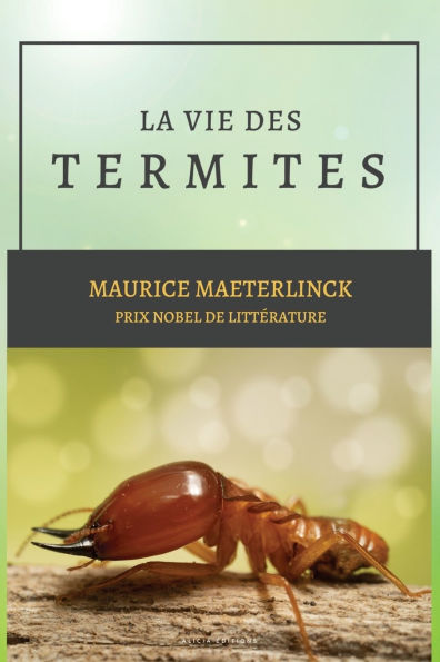 La vie des Termites