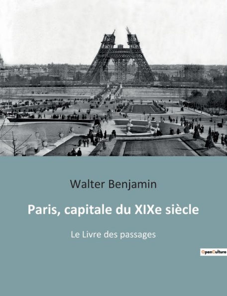 Paris, capitale du XIXe siÃ¯Â¿Â½cle: Le Livre des passages