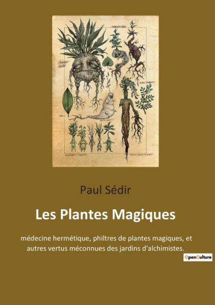 Les Plantes Magiques: médecine hermétique, philtres de plantes magiques, et autres vertus méconnues des jardins d'alchimistes.