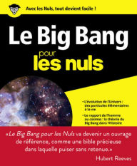 Title: Le Big Bang pour les Nuls grand format, Author: Lariss