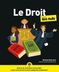 Title: Le droit pour les Nuls : Livre sur le droit, Apprendre la méthodologie du droit et des institutions judiciaires, Maîtriser les grandes notions du droit privé, droit public et droit pénal, Author: Nicolas Guerrero