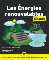 Title: Les énergies renouvelables pour les Nuls, grand format, Author: edi8