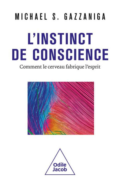 L' Instinct de conscience: Comment le cerveau fabrique l'esprit