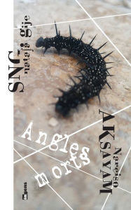 Title: Angles morts, Author: Narciso Aksayam