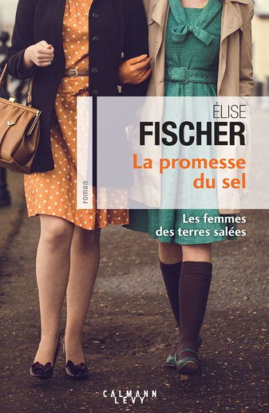 La Promesse du sel (Les Femme des terres salées T.2)