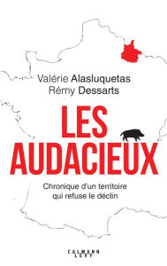 Title: Les Audacieux: Chroniques d'un territoire qui refuse le déclin, Author: Valérie Alasluquetas