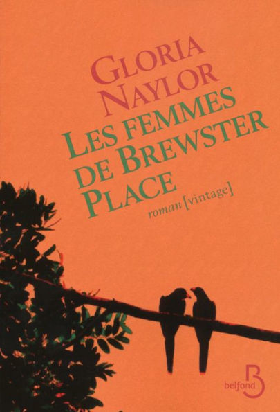 Les femmes de Brewster Place (The Women of Brewster Place)